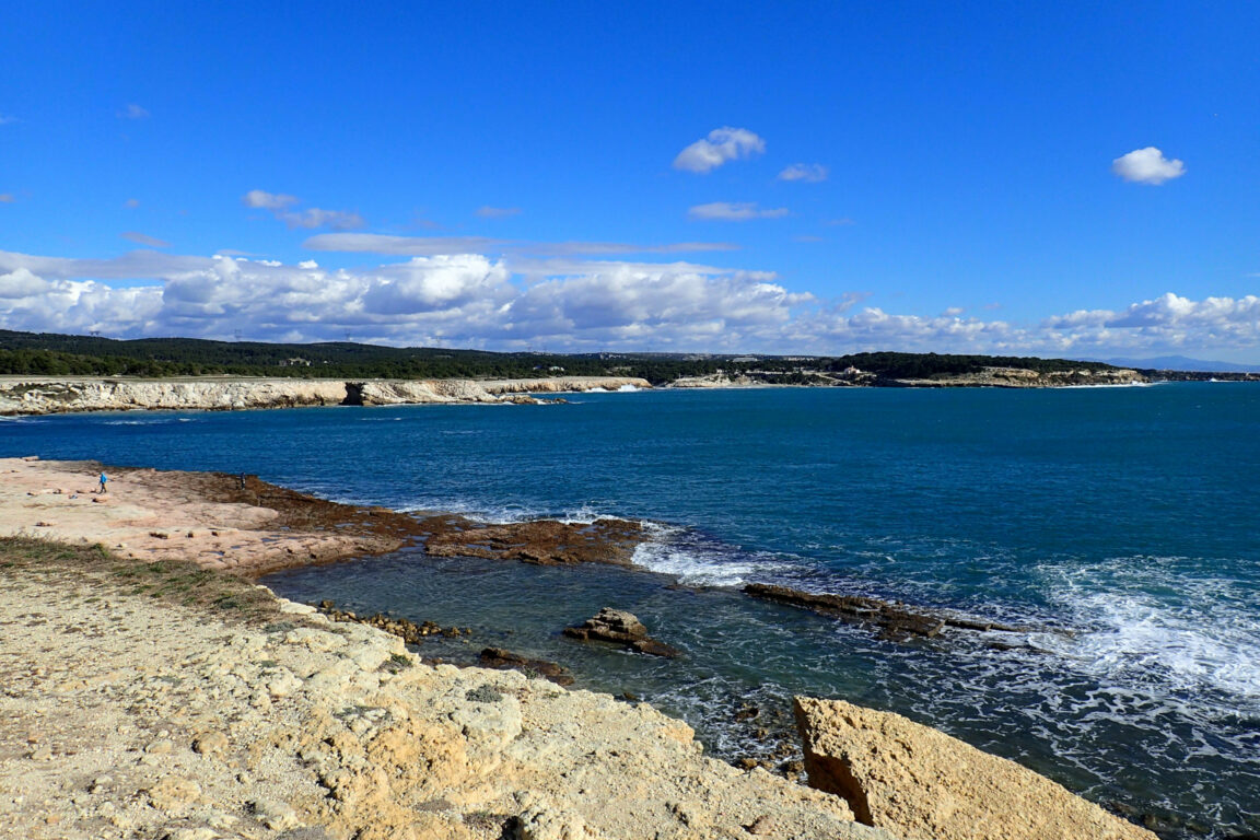 Sortie nature sur le littoral de la côte bleue