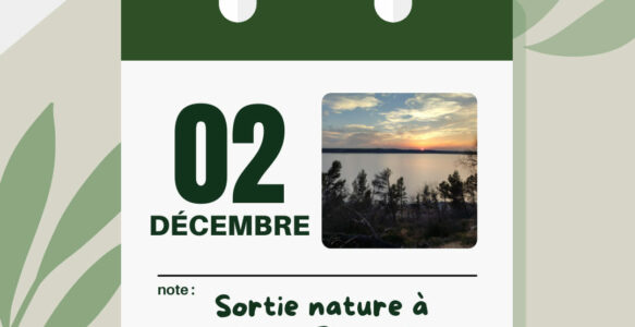 sortie nature décembre 2023