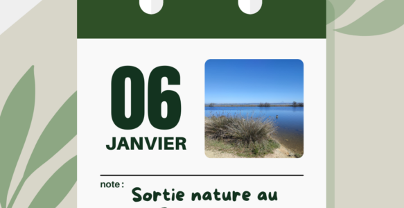 sortie nature janvier 2024