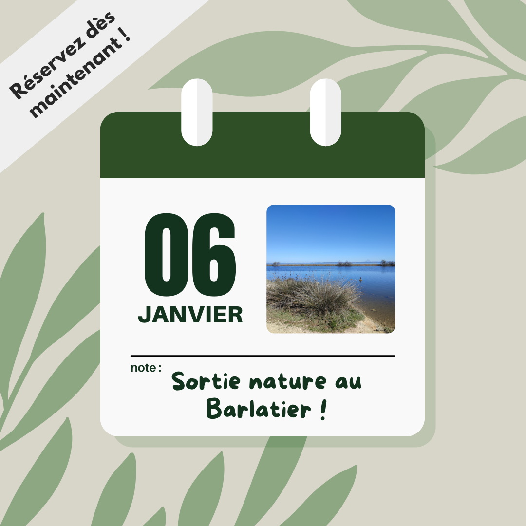 sortie nature janvier 2024