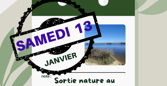 report sortie nature de janvier 2024