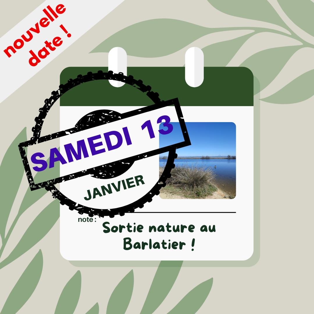 report sortie nature de janvier 2024