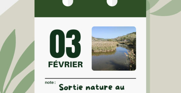 sortie nature de février 2024, journée mondiale des zones humides