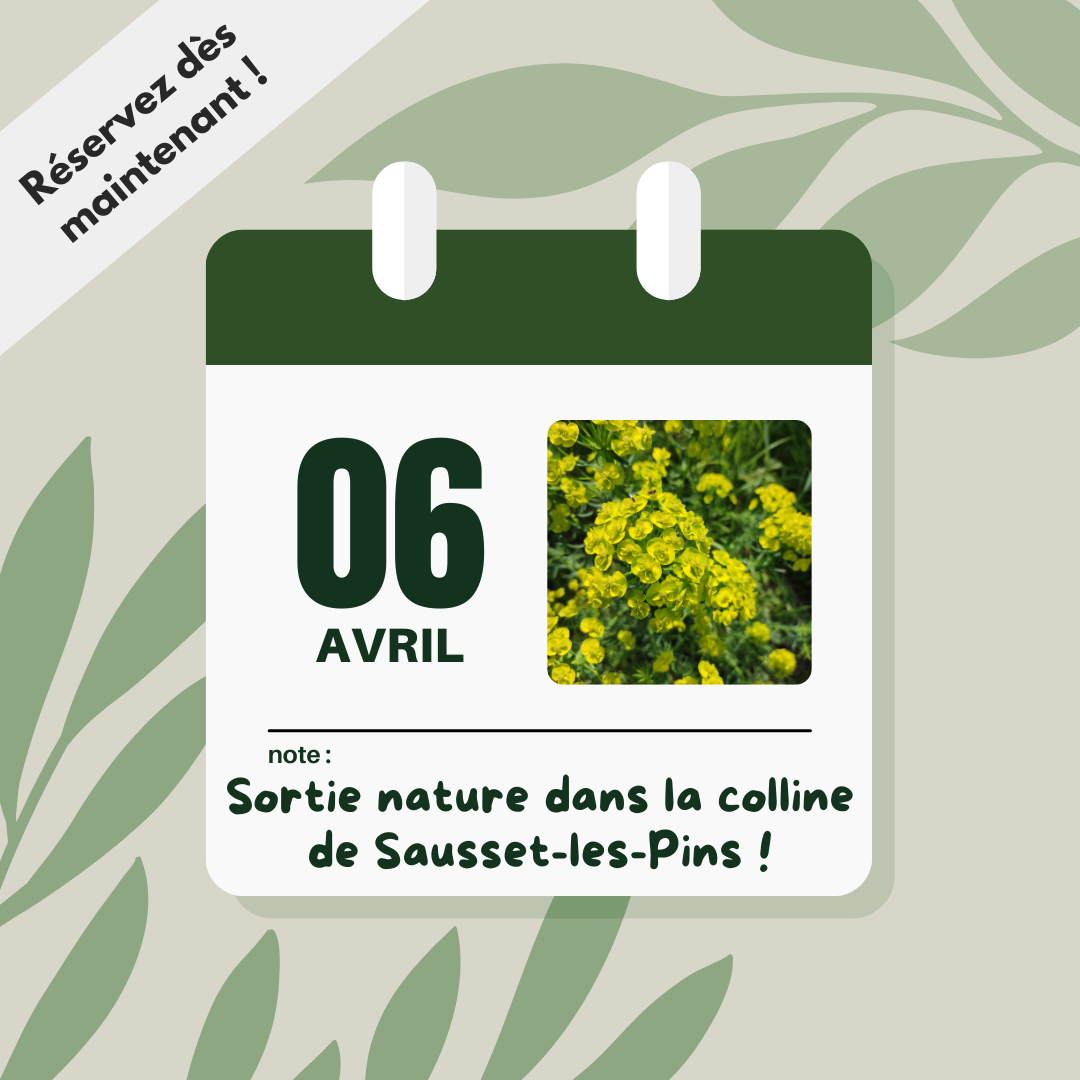 sortie nature avril 2024