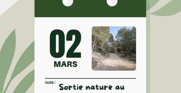 sortie nature mars 2024