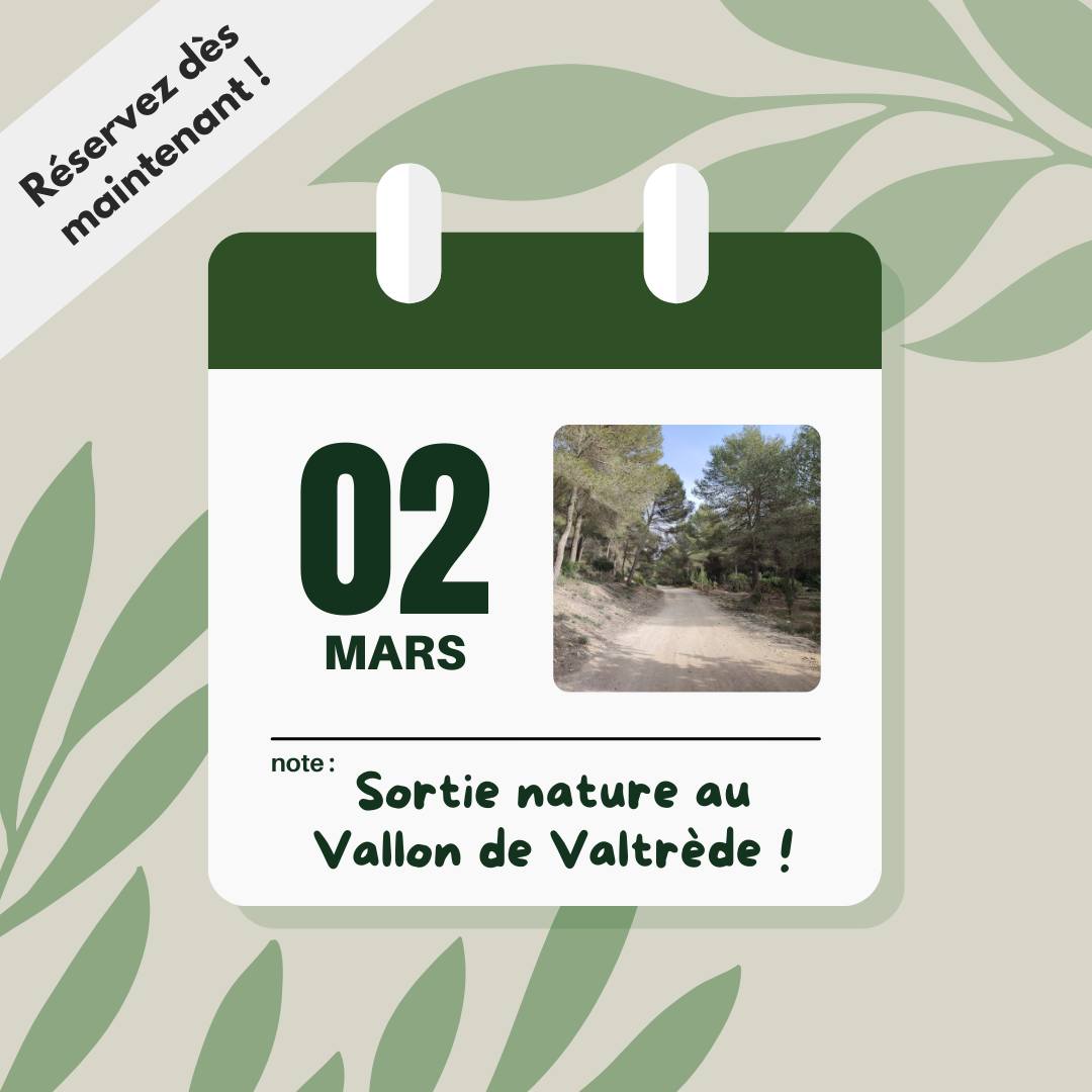 sortie nature mars 2024