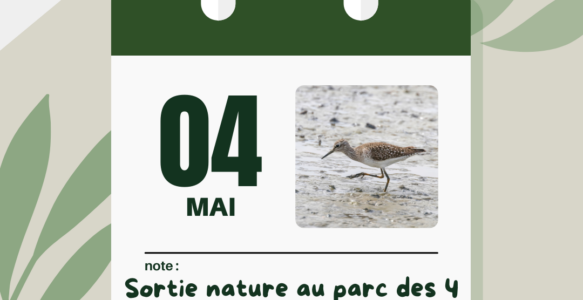 sortie nature mai 2024