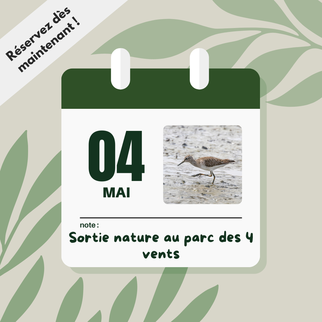 sortie nature mai 2024