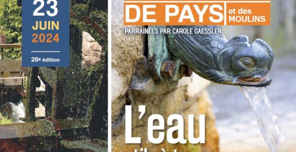 Découverte d’un moulin à huile d’olive