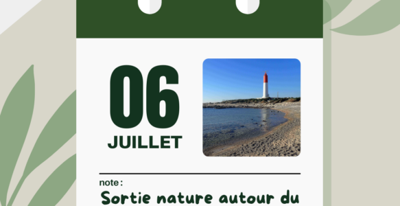 sortie nature juillet 2024