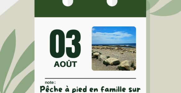 sortie nature août 2024