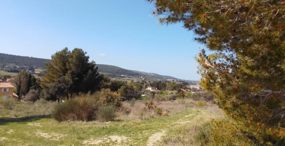 sortie découverte de la biodiversité
